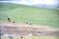 gonghe04.jpg (74236 ֽ)