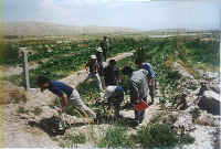 gonghe07.jpg (84235 ֽ)