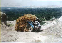 gonghe08.jpg (75578 ֽ)