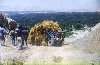 gonghe09.jpg (68444 ֽ)