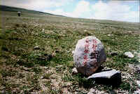 yushu003.jpg (74605 ֽ)