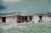 yushu06.jpg (80967 ֽ)