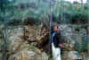 Guoji06.jpg (54229 ֽ)