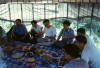 Xinj06.jpg (24929 ֽ)