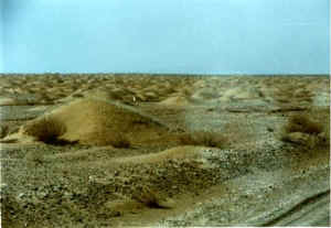 gaotai05b.jpg (27258 ֽ)