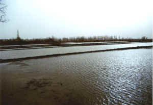 jinta07b.jpg (20789 ֽ)