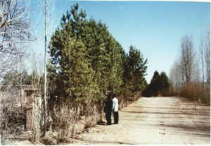 linze01b.jpg (35922 ֽ)