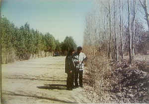 linze05.jpg (46867 ֽ)