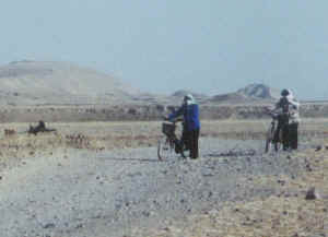 minle11b.jpg (30476 ֽ)