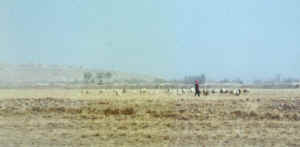minle12b.jpg (32964 ֽ)