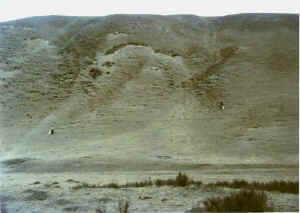 qilian05b.jpg (25796 ֽ)