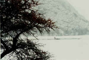 qilian07b.jpg (30566 ֽ)