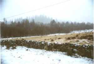 qilian08b.jpg (20097 ֽ)