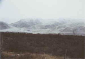 qilian15b.jpg (11625 ֽ)