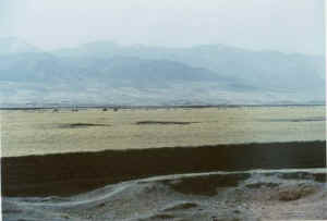 qilian18b.jpg (16440 ֽ)