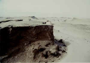 qilian20b.jpg (18244 ֽ)