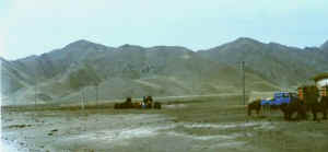 qilian27b.jpg (13215 ֽ)