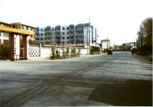 qilian28.JPG (26220 ֽ)