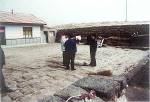 qilian47.jpg (35124 ֽ)