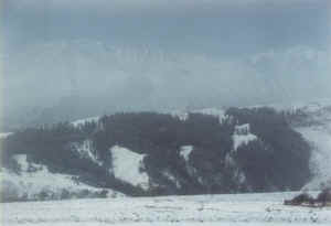 qilian49.jpg (17146 ֽ)