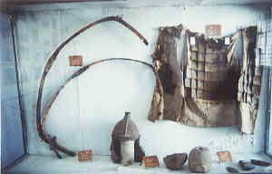 shandan11.jpg (28279 ֽ)