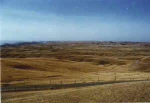 sunan01b.jpg (19068 ֽ)