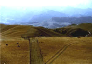 sunan02b.jpg (18280 ֽ)