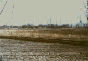 zhangye09b.jpg (23098 ֽ)